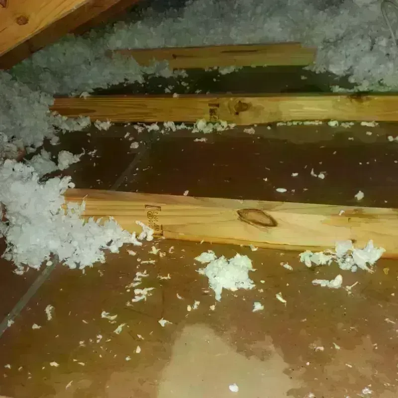 Attic Water Damage in Hertford County, NC